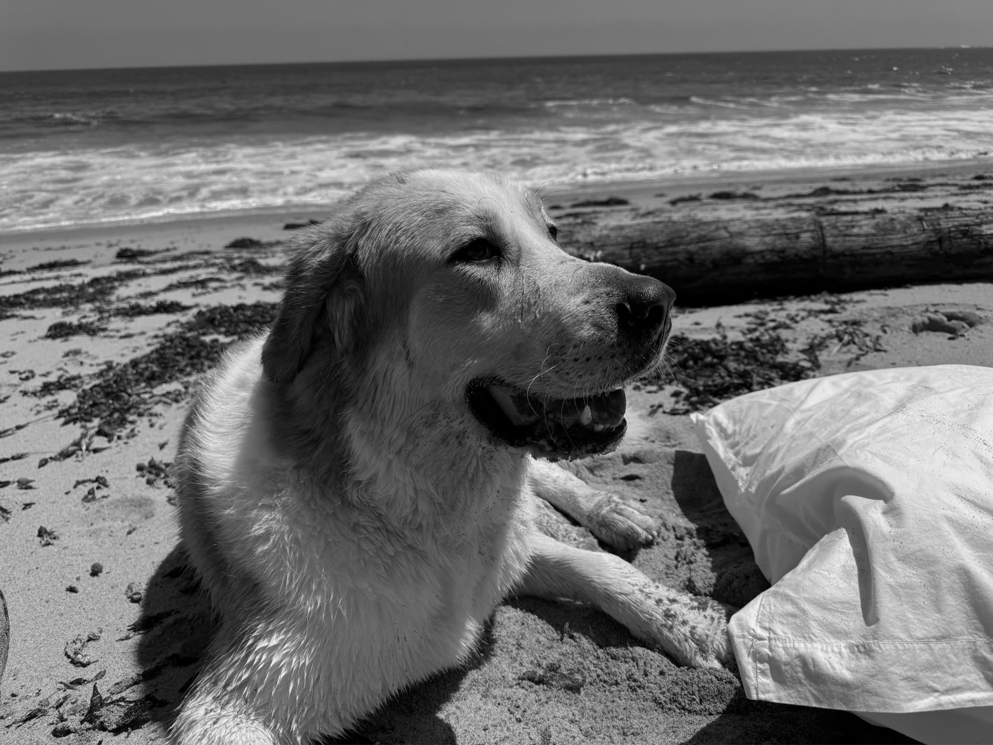 Summer
