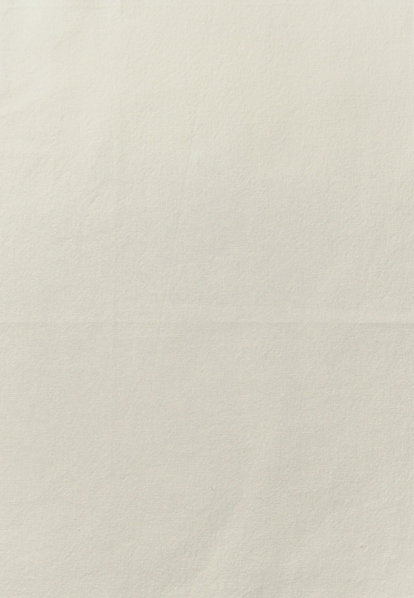 Off White Nap 100% Cotton Percale Fabric - Close-Up Texture Detail | MATTEO